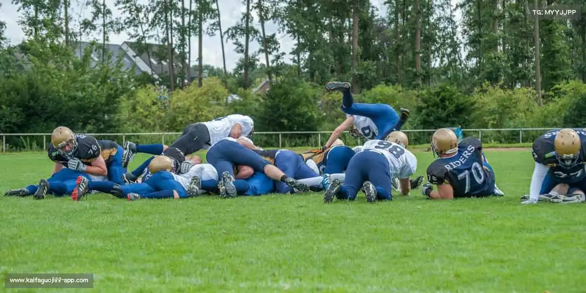 为什么选择我们